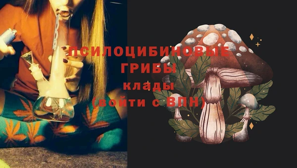 шишки Михайлов