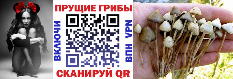 Псилоцибиновые грибы MAGIC MUSHROOMS  Новочебоксарск 
