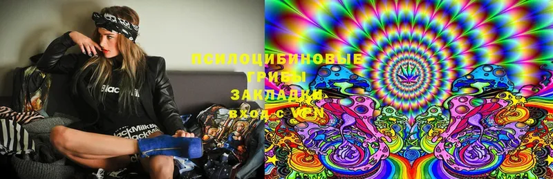 блэк спрут ССЫЛКА  Новочебоксарск  Галлюциногенные грибы MAGIC MUSHROOMS 